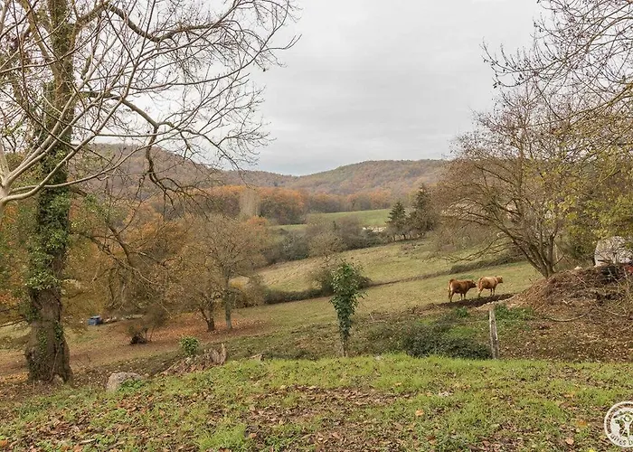 Feriehus La Ferme Des Hautins Rieucaze